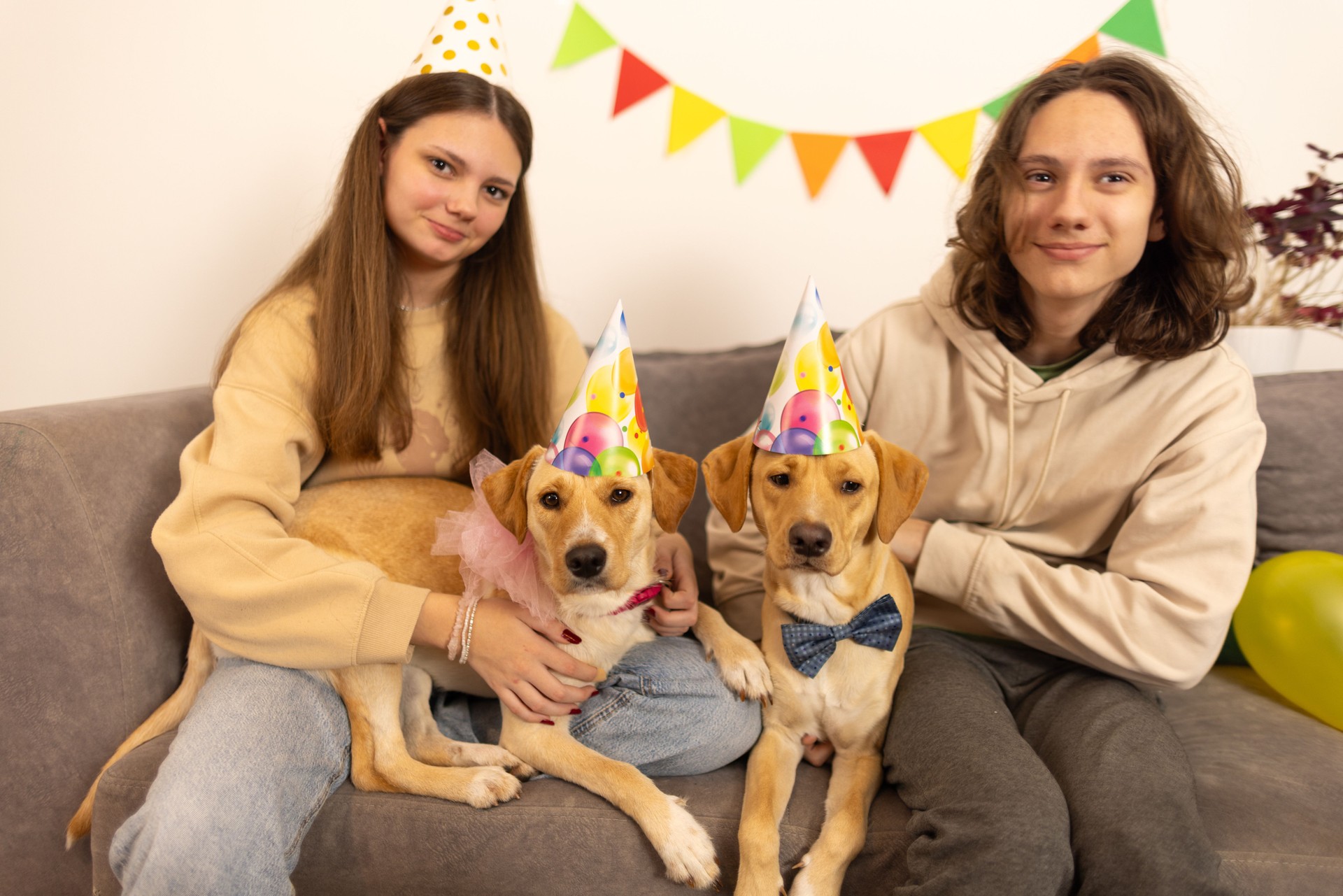 Two cute dogs' birthday party