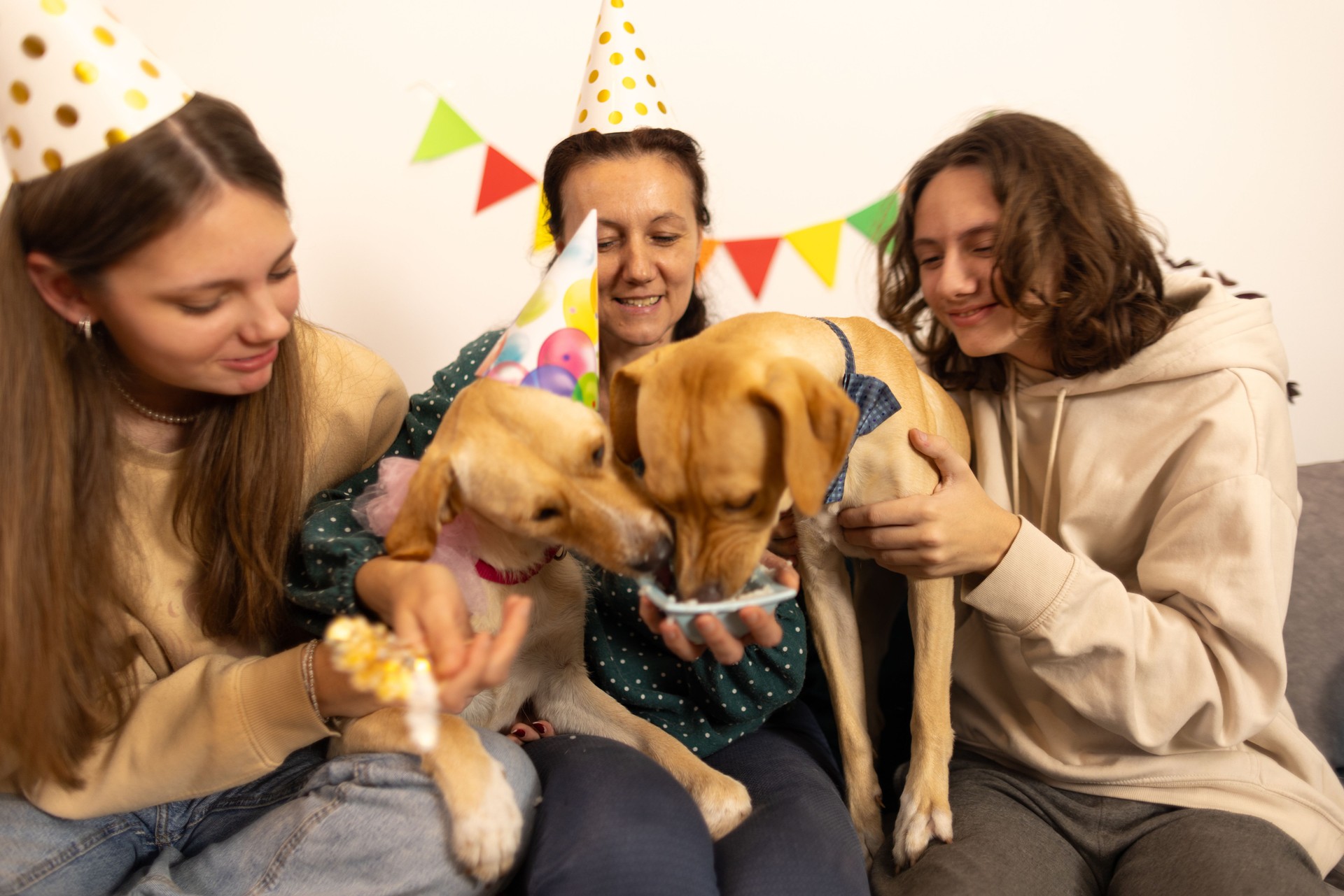 Two cute dogs' birthday party